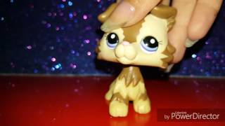 LPS: Package Opening #3 (Random LPS)
