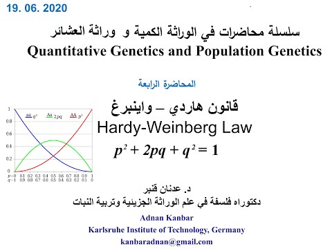 فيديو: ما هي العوامل الجينية التي يجب أن تحدث حتى يوجد توازن هاردي واينبرغ؟