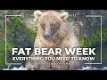 Fat Bear Week 2023: Everything You Need to Know | More to Explore