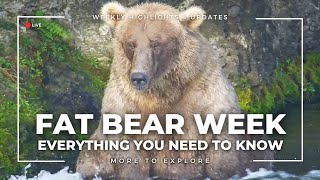 Fat Bear Week 2023: Everything You Need to Know | More to Explore