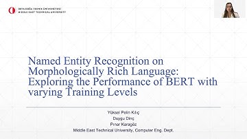 Named Entity Recognition on Morphologically Rich Language: Exploring the Performance of BERT