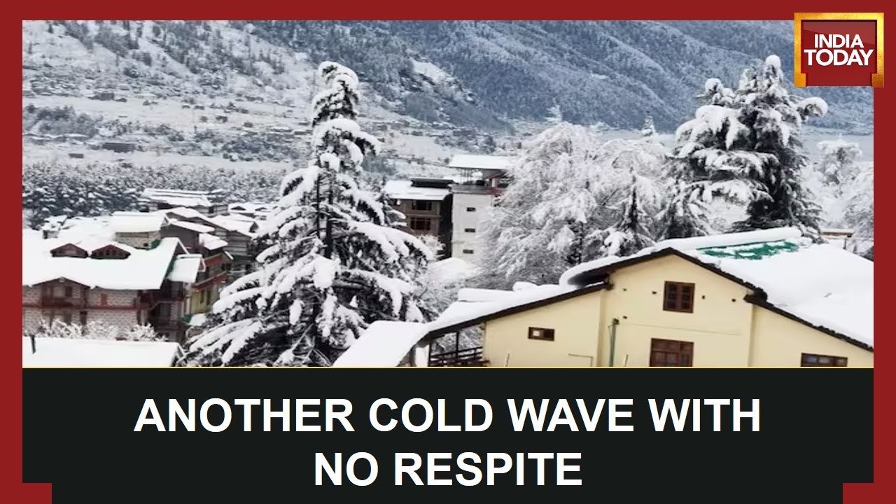 Snowfall In Kashmir Has Stopped & Weather Improved But No Relief From Cold Wave | Ground Report