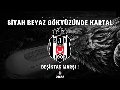 Siyah Beyaz Gökyüzünde Kartal | Beşiktaş Marşı