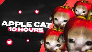 Apple Cat Running 10 Hours