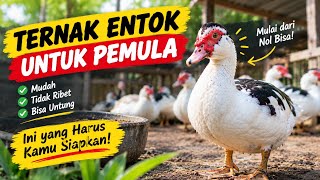 How to Raise Muscovy Ducks for Beginners: Avoiding Common Mistakes
