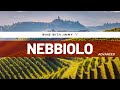 Grape Varieties - Nebbiolo Advanced Version ideal for WSET L3 and L4