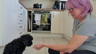 Flossie impulse control