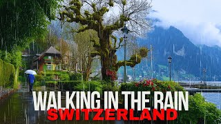 Rainy Ambiance in Schwyz, Switzerland  Soothing Sounds of Umbrellas and Thunderstorms