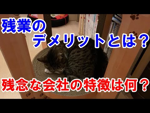 【メンタリストDaiGo】残業のデメリットとは？残念な会社の特徴！