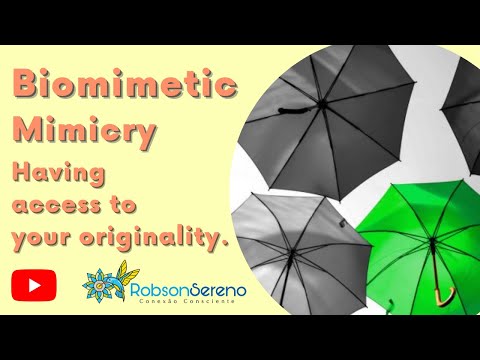Biomimetic Mimicry – Having access to your originality.