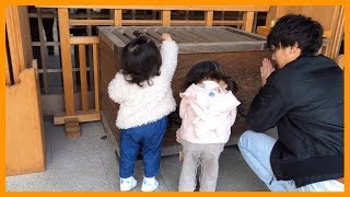 神社へおでかけ！【Successful wish】