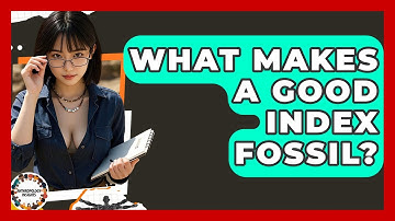 What Makes A Good Index Fossil? - Anthropology Insights