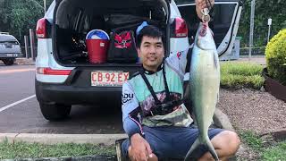 Milkfish | Bangus | Chanos Chanos