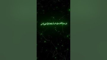القران الكريم سوره البقره الآيات 248 _ 249 بتلاوه الشيخ ياسر الدوسري 🩶