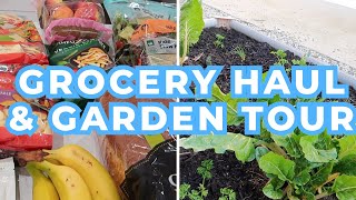 WOOLIES GROCERY HAUL & TOUR OF OUR NEW FRUIT & VEGETABLE GARDEN