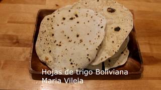 Hojas de trigo bolivianas