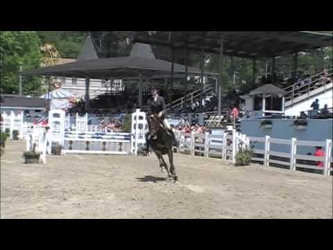 Cara Dodson & The Waterboy - Devon Pony Jumper