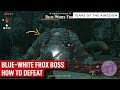 How to kill bluewhite frox boss in the depths  the legend of zelda tears of the kingdom