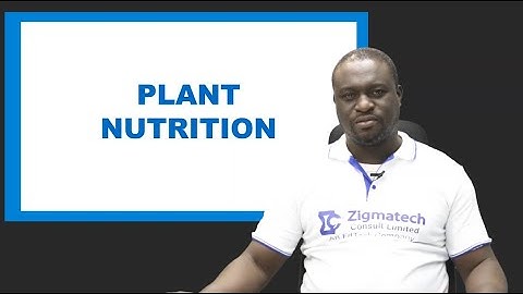 BIOLOGY | PLANT NUTRITION | EXAM GUIDE | LEARNING HUB | ZIGMATECH CONSULT | EXAMGUIDE | SCIENCE