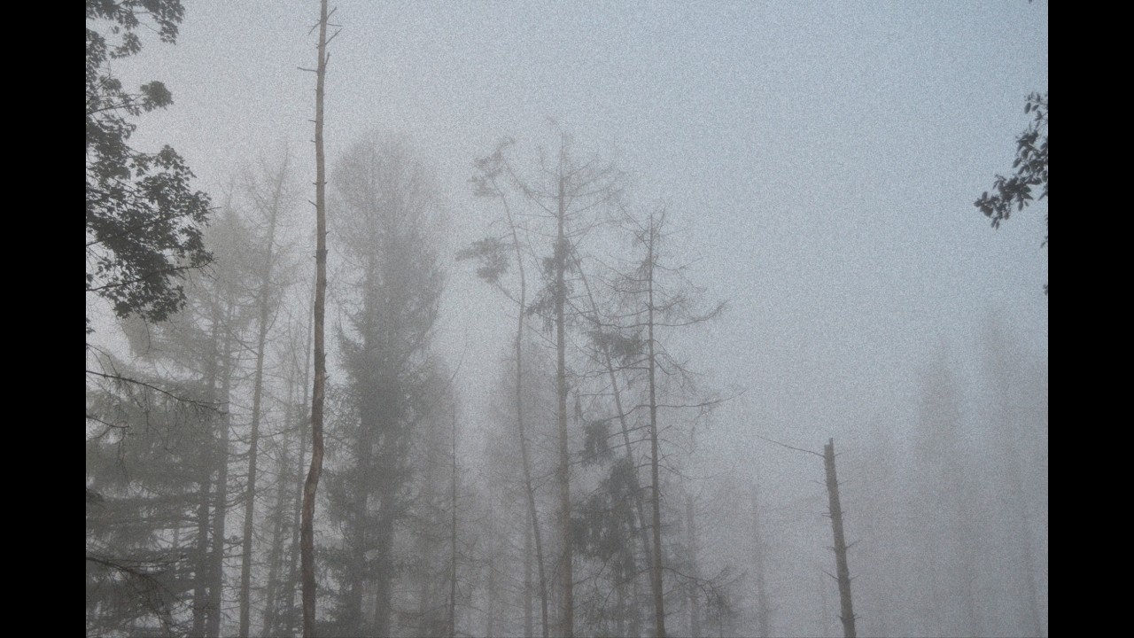 can you stand the rain