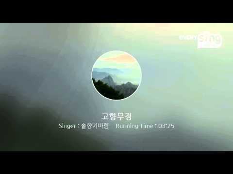 [everysing] 고향무정