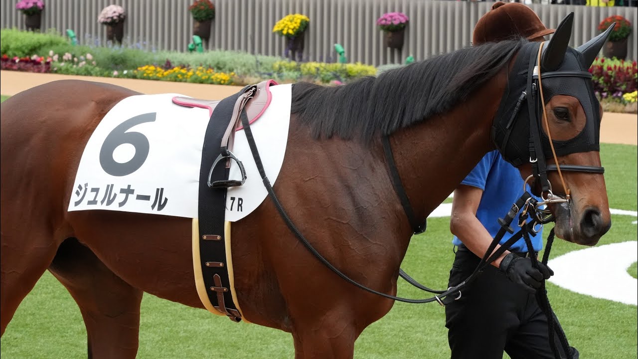 ジュルナール　3歳以上1勝クラス　パドック、返し馬、スタート、ゴール