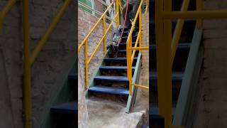 Elba你都不會怕喔｜鐵樓梯｜囪底隧道 #寄養家庭 #doglife #緝毒犬