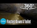 360 video || Flushed Down a Toilet Version 4 || Animation VR 4K