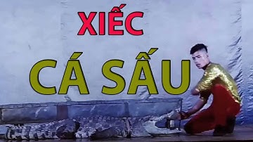 [Xiếc Cá Sấu]  |  - Crocodile Circus | Ánh Sao Vlog