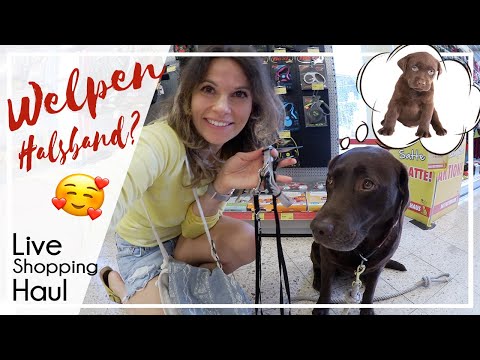 Welpen Zubehör kaufen? - Live Shopping Haul  | KaroLovesMilka #milkamittwoch