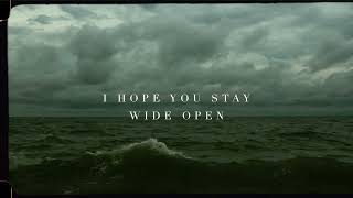 The Lighthouse and the Whaler - Wide Open (Official Lyric Video)