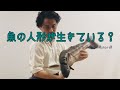 魚の人形が生きている？＃short＃