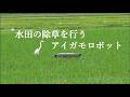 水田の除草を行うアイガモロボット