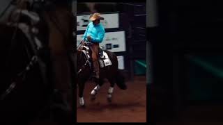 Credit to me making this🤭 #horses #horseriding #reininghorse #reining #caseydeary