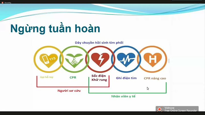 Các thông số đánh giá tuần hoàn năm 2024