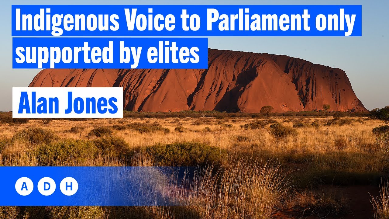 ⁣Indigenous Voice to Parliament is only supported by elites | Alan Jones