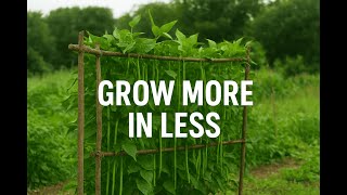Amish Secret To Growing 1 Year Of Food In A Tiny Space
