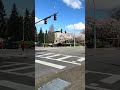 Spring has come to Seattle!