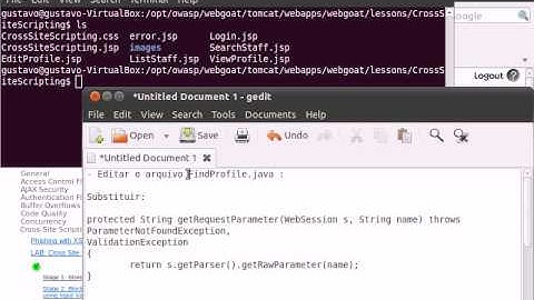 WebGoat v5.3 - Cross-Site Scripting (XSS) - LAB - Stage 6: Block Reflected XSS