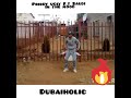 In the mood by priddy ugly