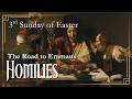 3rd Sunday Of Easter Homily April 19 2026 mp3