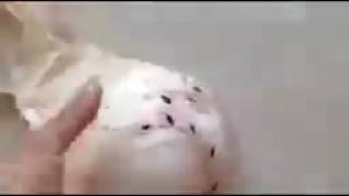 Hướng Dẫn Làm Áo Ngực Không Dây Để Mặc Đầm