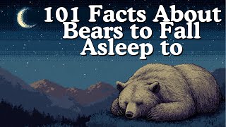 101 Relaxing Facts About Bears To Fall Asleep To screenshot 4
