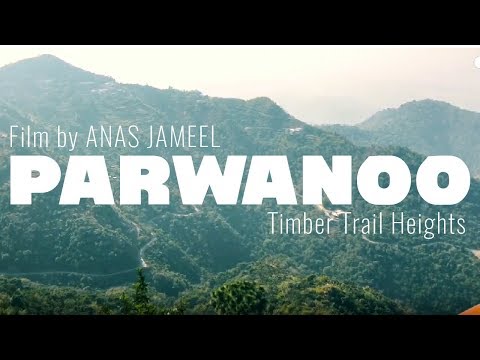 Chandigarh to Parwanoo | Road Trip | Timber Trail Heights