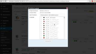 15 - Marketica - Translation/Localization
