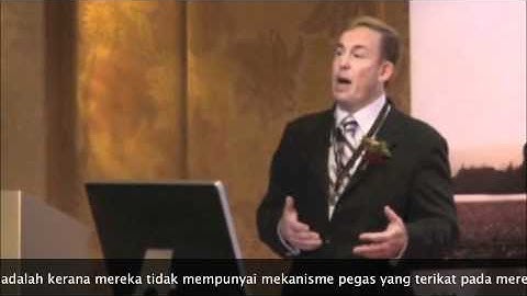 Video Tutorial #6 The Human Spring Mechanism To Protect The Body From Impact Forces