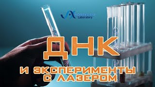 Эксперименты с лазером и ДНК