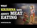What krishna says about meat eating in the gita  by hg shri vrindavanchandra das  give gita