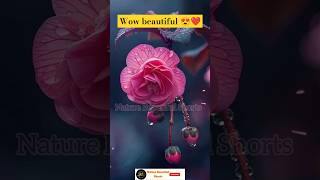 nature background video no copyright | relaxing landscape video | wallpaper photo flower | #shorts
