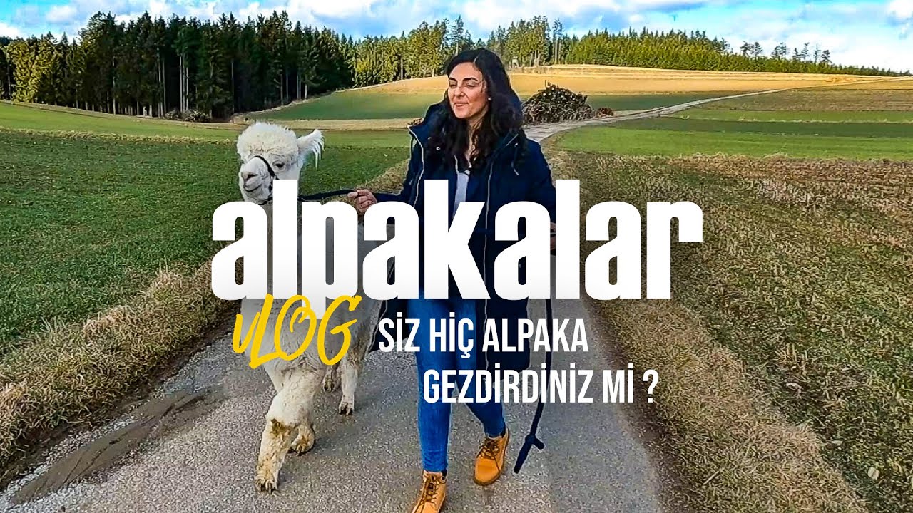 Siz hiç ALPAKALAR'la gezdiniz mi? VİYANA'da Pazar Gezisi!